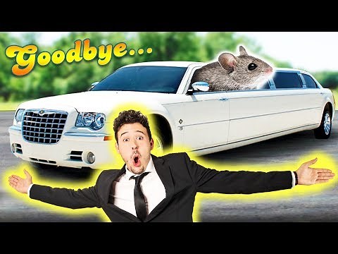 LIMOUSINE für MAUS gemietet! 🐭 (Emotionaler Abschied 😭)