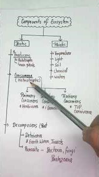 components of ecosystem #ytshorts #viral #biology