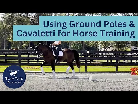 Using Ground Poles & Cavaletti for Horse Training