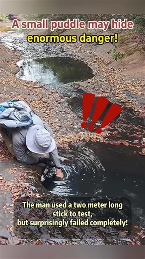 【A small puddle may hide enormous danger!】The inconspicuous small puddles in the wilderness may hide enormous dangers! The man used a two meter long stick to test, but surprisingly failed completely! #wild #nature #puddle #danger #cautious #caution #fyp #!
