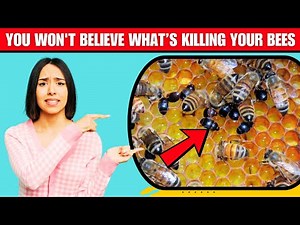 STOP Small Hive Beetles Now – Easy DIY Treatment That Works!
