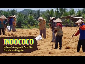 How Cocopeat is Made in Our Factory | Step-by-Step Process - Indococo