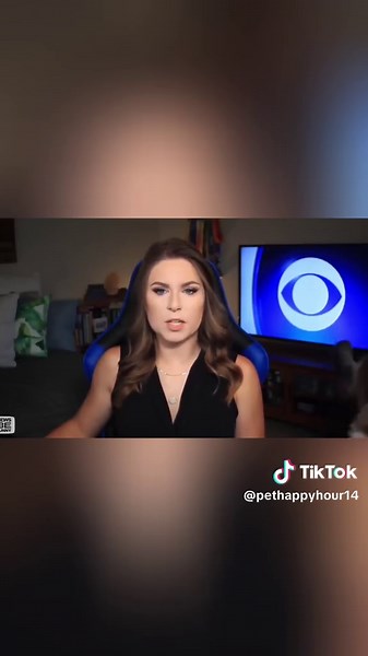 Funny Animal Interruptions During News Interviews