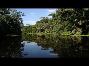 Costa Rica by Jakob Dylan