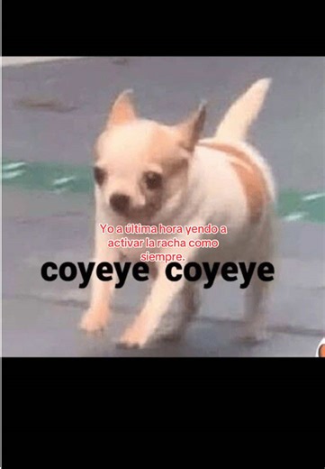 Cómo activar la racha: trucos y consejos