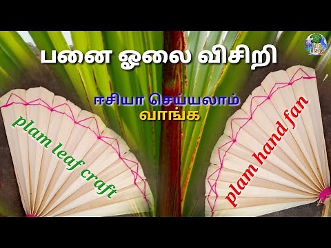 How to make palm leaf hand fan in Tamil|panai olai visiri|விசிறி|village craft work|SKills Village