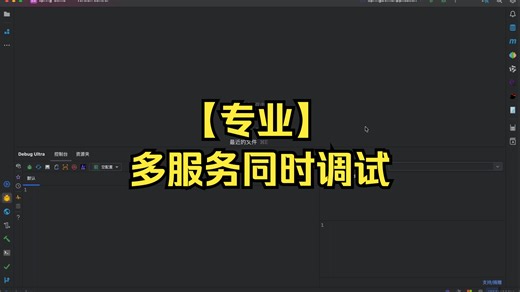 P9【专业】多服务同时调试