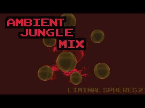 Atmospheric Jungle + DNB DJ Mix 050 | Liminal Spheres 2 (Jungle Visualizer)