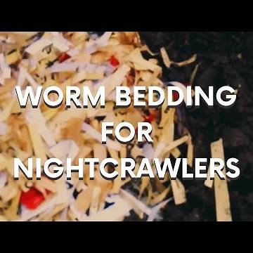 Worm Bedding for Nightcrawlers