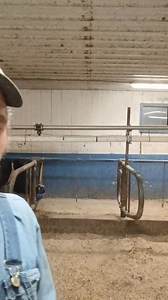 Road tripping to Viroqua Wi Sunday to pickup a new cow to bring to her forever home and looking for some new cow friends along the way | Tristan Swartz