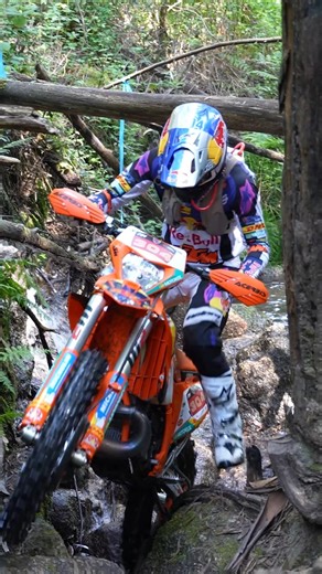 Manuel Lettenbichler at Extreme XL Lagares