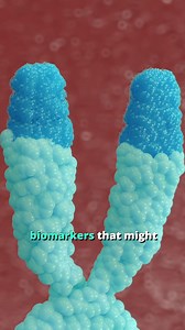 Telomeres are the caps on chromosomes. They shorten with each cell division until the cell dies, so it’s been theorized that cap length might correlate with lifespan. Unfortunately, the relationship between telomere length and lifespan is not so cut-and-dry. While it might be part of the story, it’s certainly not conclusive. For most of us, the best thing to focus on is holistic health: food, exercise, sleep, and stress management. #telomeres | YOGABODY