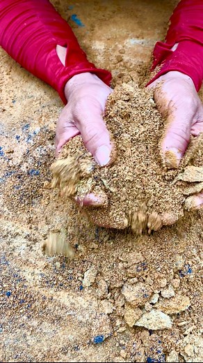 The best material in the world is yellow material, which is a material containing gold grains found under river flows. #tambangemasrakyat #lokingforgold #tambangemasindonesia #tambangemaspapua #goldhunter #goldnugget #goldrush #rivergold #antum #gold | Karebet Gold Hunter