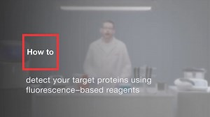 How to detect your target proteins using fluorescence-based reagents - Scientific Videos | Thermo Fisher Scientific US