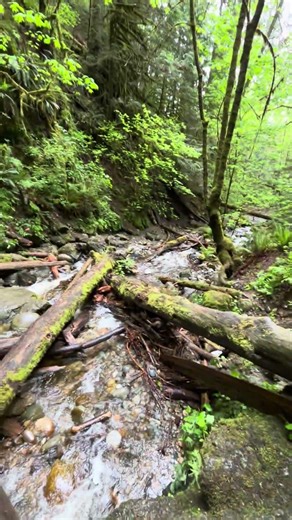 Standing at the bottom of Explorer Falls, Washington 🌊