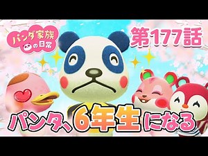 【あつ森アニメ】パンダ家族の日常 第177話「パンタ、６年生になる」