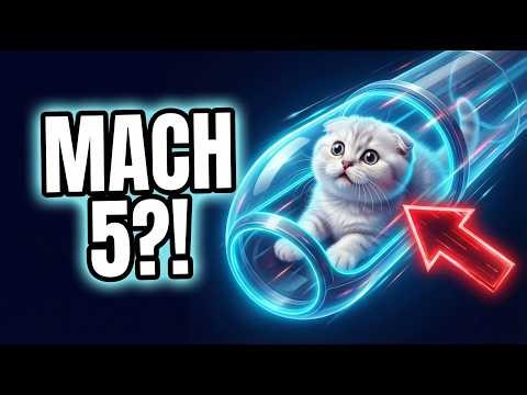 I Put My Cat in a Hyperloop…