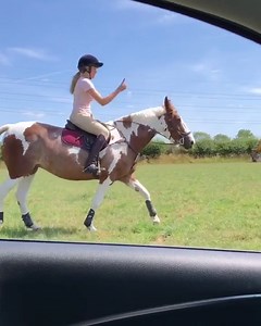 Bringing Back the Kiki Challenge—Horseback Edition!