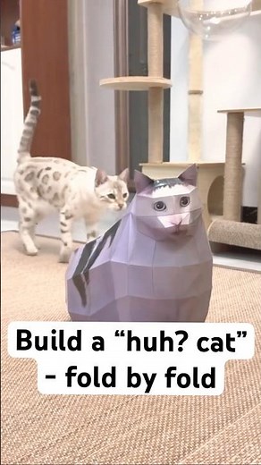How I built the Huh? Cat Meme in 3D