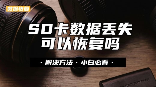 【数据恢复】SD卡数据丢失可以恢复吗？别慌3个方法教你恢复内存卡里的照片。相机SD卡内存卡误删、格式化恢复方法！