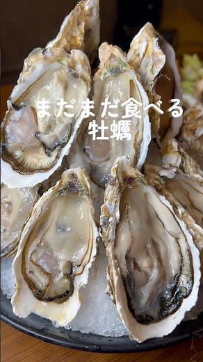 #四日市グルメ#四日市居酒屋 #四日市牡蠣食べ放題 #四日市食べ放題#四日市市グルメ#四日市市居酒屋#三重グルメ #三重ディナー #三重居酒屋#三重県グルメ#牡蠣 #牡蠣食べ放題#三重牡蠣食べ放題