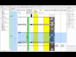 WellCAD Core Shifter Workspace
