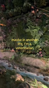 Maybe in Another Life I'm a Veterinarian — Childhood Dream to Vet