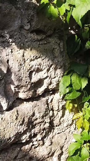 Baalbek's Megalithic Riddle