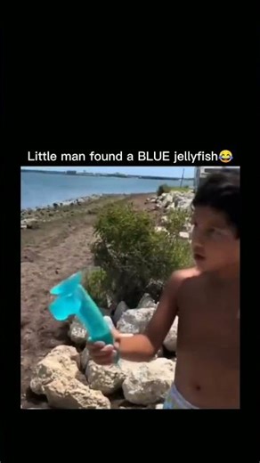 little man found a blue jellyfish 🪼😂