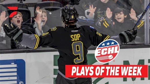 Holiday highlights you can't miss in the ECHL top plays