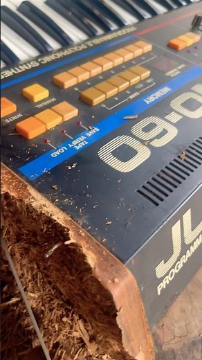 Roland Juno 60 wood sides #vintagesynthesizer #rolandjuno #juno60 #synthesizer #rolandjuno60 #80s