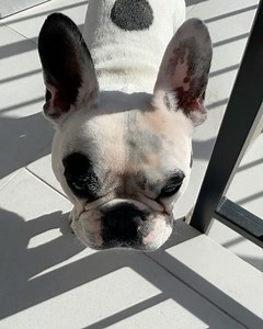 The King said the grandparents had to pay for their stay in his kingdom somehow... #heputthosehoesonpoopduty #MamaandPapaBishgettowork #dafukyouyallthinkthisshitaintfree | Walter Geoffrey