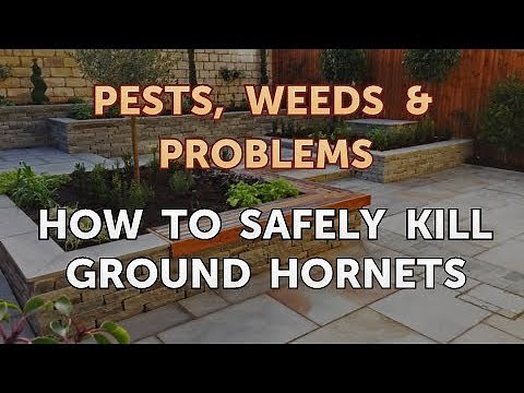 How to Safely Kill Ground Hornets