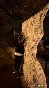 Bevelyn Beatty destroys BLM signs in D.C | The Savage Diary