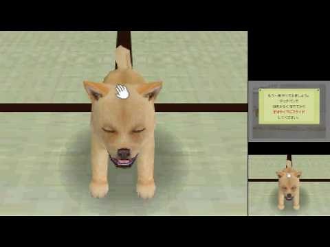 Let's Try [DS 0068] Nintendogs Shiba & Friends