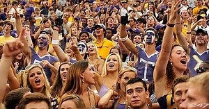 Tiger Stadium serving new food and providing more amenities