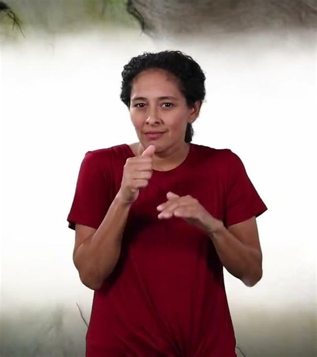 Mexican Sign Language Vocabulary: escondido