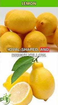LEMON VS LIME - THE DIFFERENCE NO ONE TELLS YOU BACKED BY SCIENCE❤️ #healthtips #fyp #shorts #health