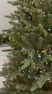 6.7K views · 158 reactions | Pre-order is back open for this stunning tree! This Christmas tree is just as beautiful on it's own, or absolutely stunning decorated (see our last post). With 6600 lights, the Jindabyne Christmas Tree is simply magical!  The pre-order is only open until Sunday, so don't miss out on securing yours. This is guaranteed to sell out early! | My Christmas | Facebook