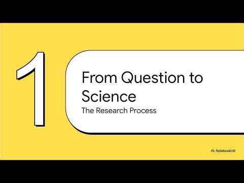 The Research Process