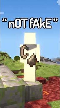I Caught The STUPIDEST Fake Minecraft Speedrun!