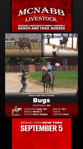 Bid now at www.horsebid.com | HorseBid.com