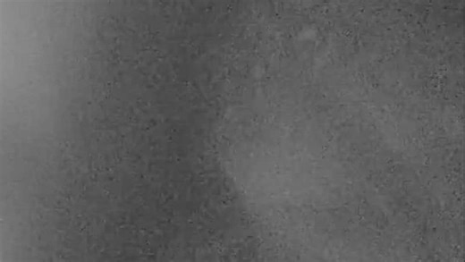 Handcuffed woman pulls gun from pants, fires at Florida deputy in shocking video