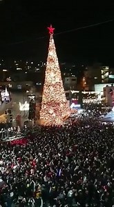 9.2K views · 1K reactions | The tallest Christmas tree  in the Middle East is located in Nazareth, Israel. The tree stands, 98.4 feet tall. | Israel War Room | Facebook