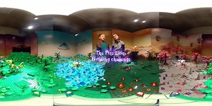 91K views · 274 reactions | Is your kid one of the creators of the builds for the Fire Lion? See if you can spot their creation in our Elvendale 360° video on YouTube - or be inspired for the Wind Dragon challenge  | LEGO | Facebook