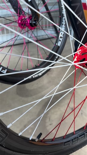Speed Vision Bikes on Instagram: "How durable is the powder coating on our Dream spokes? These wheels have two full seasons of full contact racing, crashes, bike bags, and sun. The coating weighs no more than the stock paint and can handle all the abuse you throw at it!"