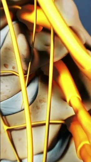 How Spinal Cord Compression Affects Your Brain