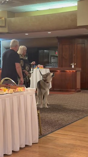 11K views · 632 reactions | I don't even know where to begin with...