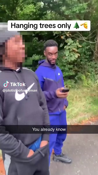 Exploring Hanging Trees: Unique Flora Insights