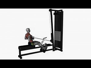 تمرين ظهر سحب ارضي قبضة ضيقة - Seated Cable Row